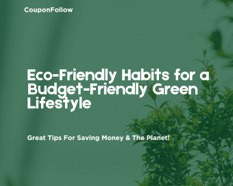 Eco-Friendly Habits for a Budget-Friendly Green Lifestyle