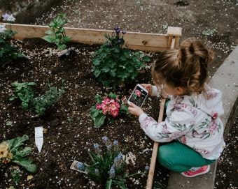 Home Gardening Ideas and Projects on a Budget | Outdoor Supply Coupons