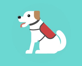 The New Pet Owners Guide - Health, Safety and Savings